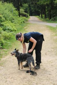 2018 Ausbildungswoche Arber